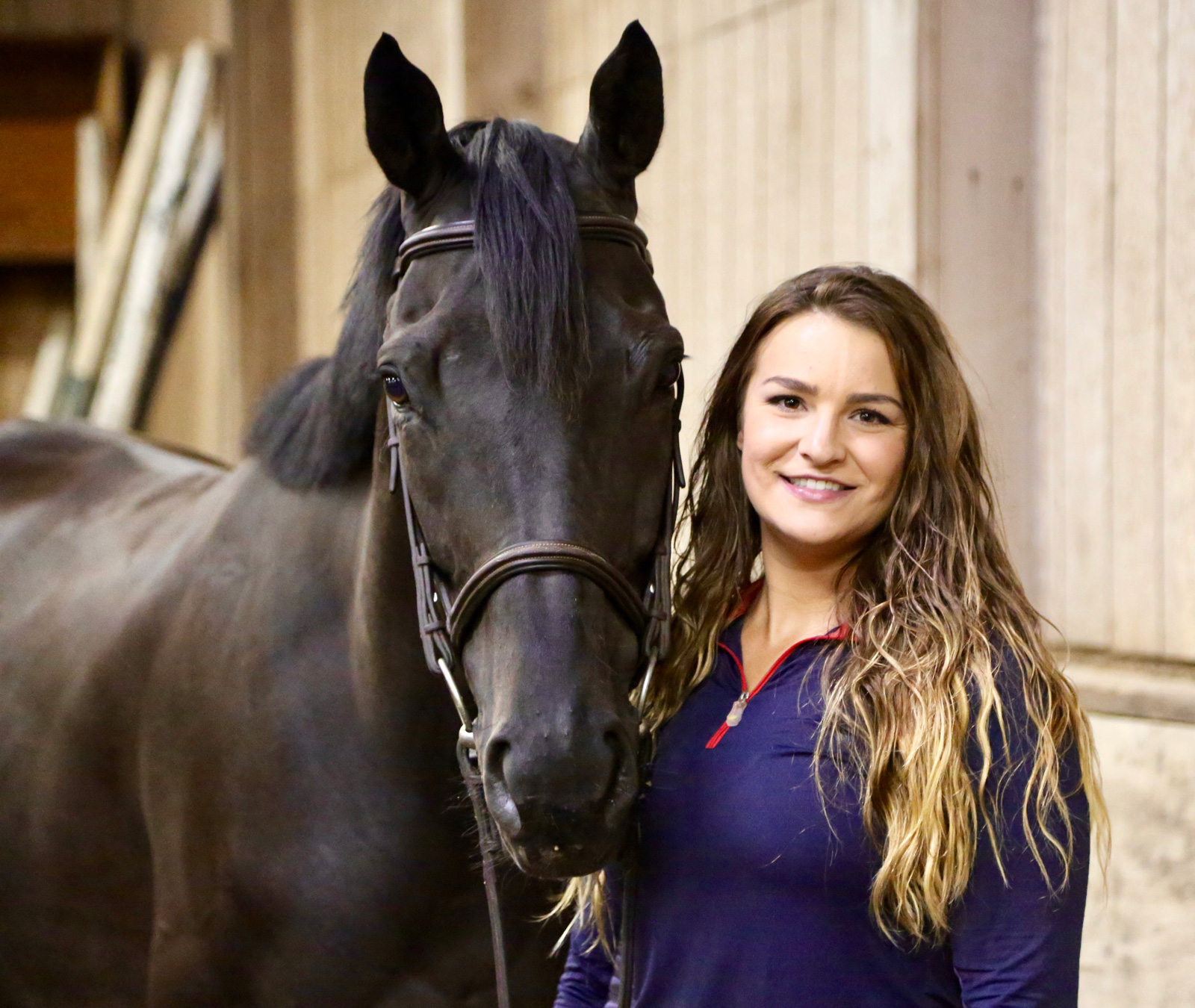 P2 Equestrian | Parker, Colorado | Sales